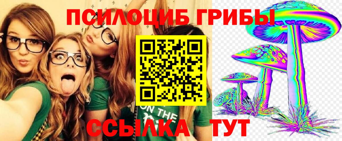 Псилоцибиновые грибы MAGIC MUSHROOMS  Вход с VPN  Галлюциногенные грибы Psilocybe  Новомосковск 